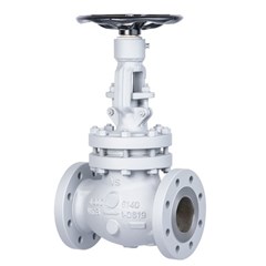 globe valves bellow seal