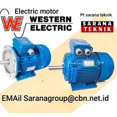 western electric motor