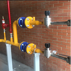 high flow cng gas regulator 1 inch