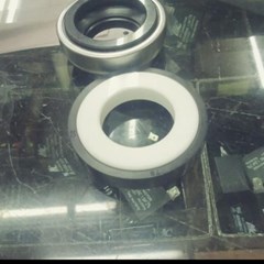 mechanical seal 301/25s