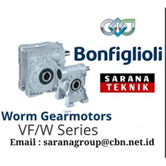 worm gearmotor vf/w series