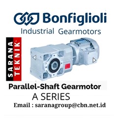 parallel shaft gearmotor a series