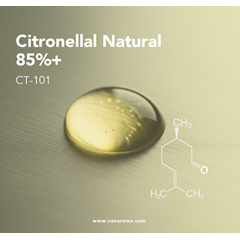 citronellal natural 85%+ (ct-101) van aroma / minyak atsiri