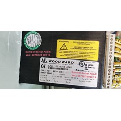 woodward ls4 84401006 ls-4 8440-1006 ls 4 8440 1006 - genuine original