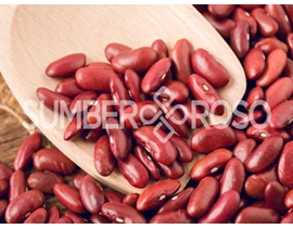 Distributor Kacang Merah Jogo Super