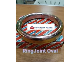 Metal Ring Joint Gasket R35 RTJ Oval Soft Iron Klinger