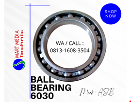 Ball Bearing 6030