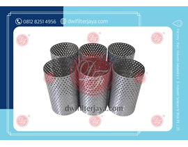 Y Strainer Filter Fitting Stainless Steel 304 Brand DF Filter