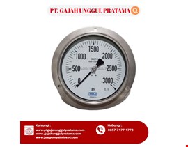 Pressure Gauge WIKA Model 213.53.160 0-3000 psi