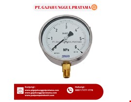 Pressure Gauge WIKA Model 213.53.160 0-6 MPa