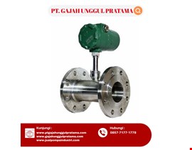 Thermal Mass Flow Meter SHM 1 Inch DN 25