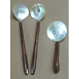 spoon made from mother pearl shell