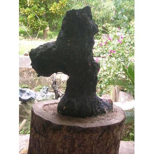 nature stone, suiseki