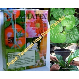pupuk gramafix® tanaman hias daun (tahidu)