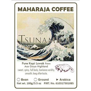wild kopi luwak aarabica roasted tsunamica gayo