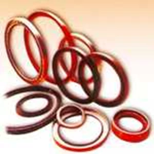 oil seal