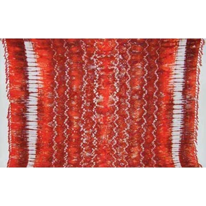 pareo/sarong pantai