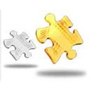 custom software