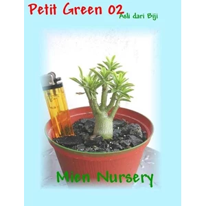 petit green 02