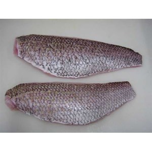 frozen goldband snapper