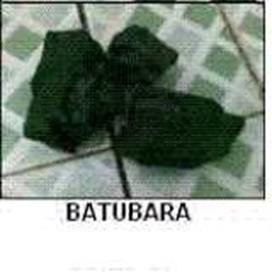 batubara curah kalimantan timur