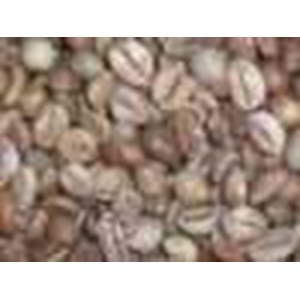 * * * * * supplier kopi arabika dan kopi robusta* * * * *