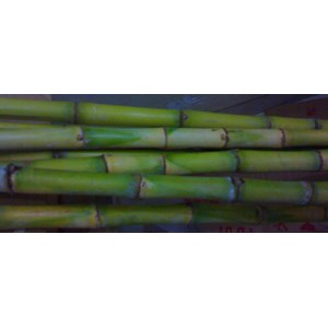 tebu khusus juice