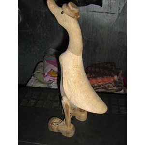 bebek cantik