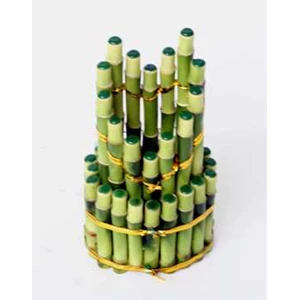 suji/ bambu hoki ( lucky bamboo) lv 214