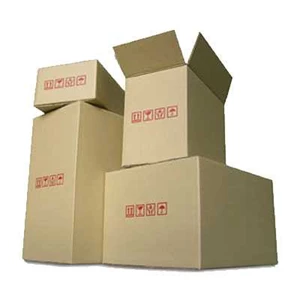 corrugated carton box (kardus)