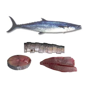 tenggiri (kingfish)