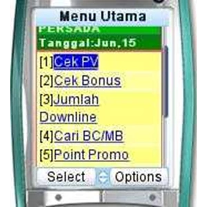 messa server