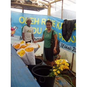 saya dan proses pengiriman