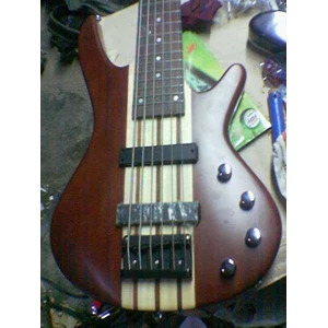 bass ellectric custom