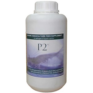 p2