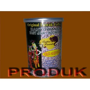 kopi luwak