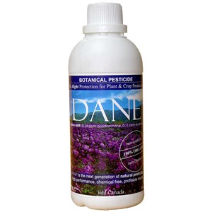 dane