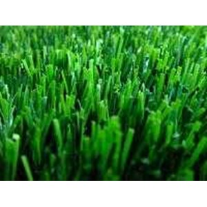 monofilament synthetic grass