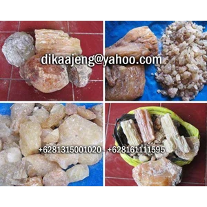 copal pws