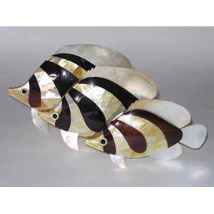 sea shell animal