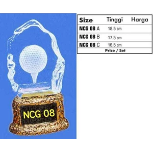 ncg 08