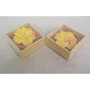 fower candle sc 089