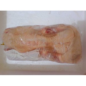 frozen poultry meat : bebek peking, ayam pejantan, ayam kampung