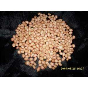 kacang tanah( arachis hypogaea l.) indonesia: kacang tanah; english= peanut ~ sms= + 6281-32622-0589 ~ email= nurida479@ rocketmail.com