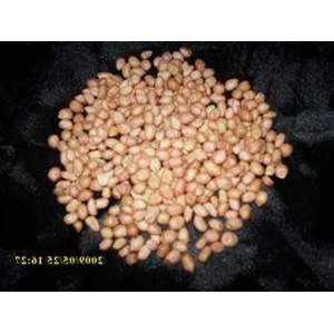 peanut ( arachis hypogaea l.) indonesia= kacang tanah ~ sms= + 6281-32622-0589 ~ sms= + 6281-901-389-117 ~ email= nurida479@ yahoo.co.id