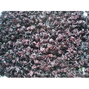 rosella kelopak ungu curah @ 60rb/ kg.