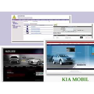 website, design, maintenance & management