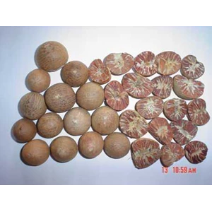 betelnuts