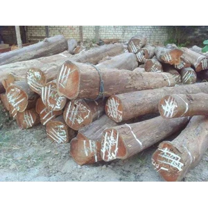 kayu jati log
