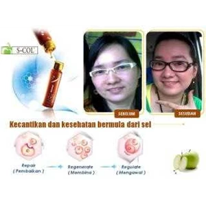 s-collagen & enzyme